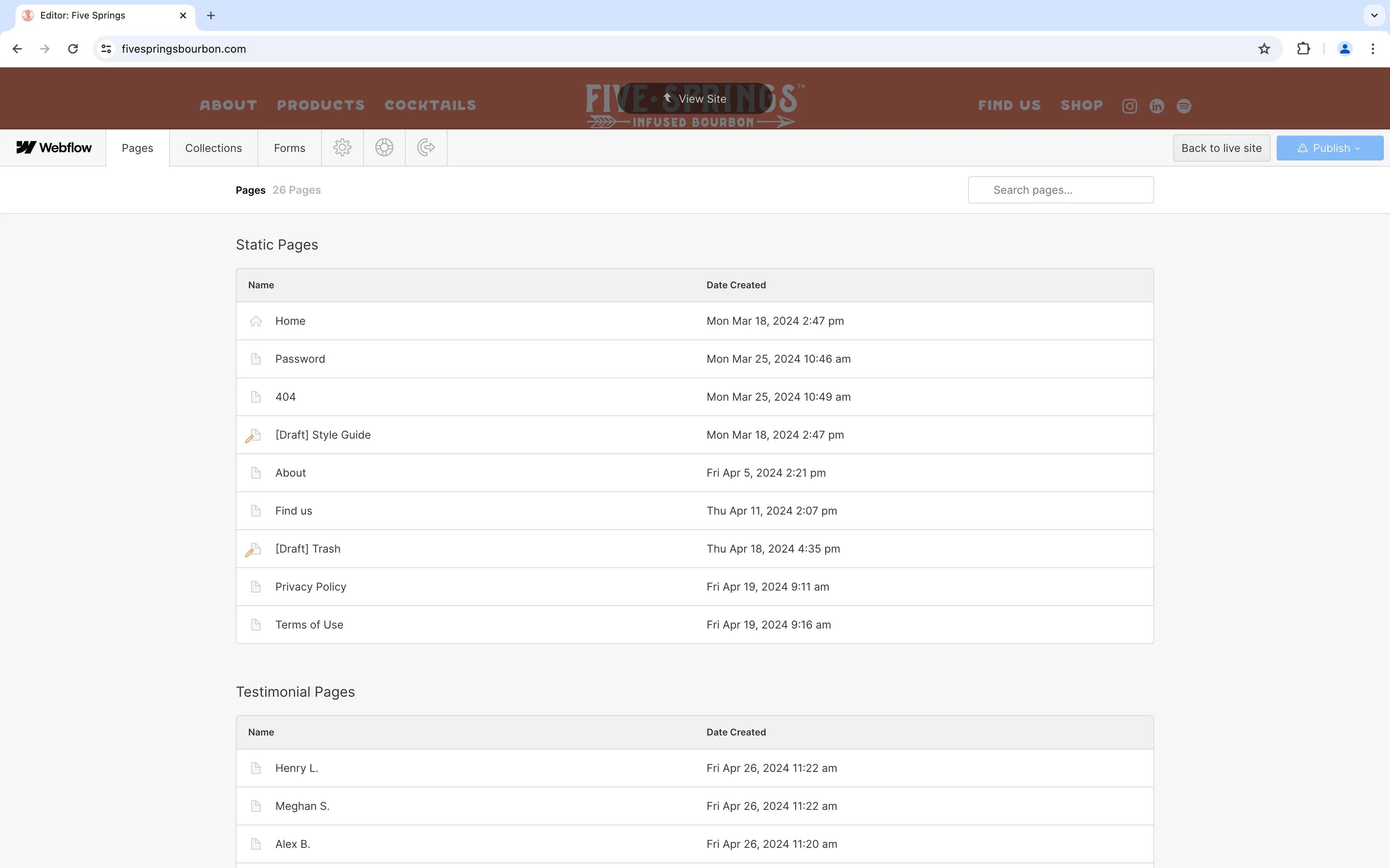 An image of the opened pages section of the Webflow Editor